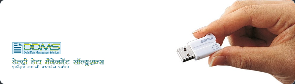 Delhi Data Management Solutions
