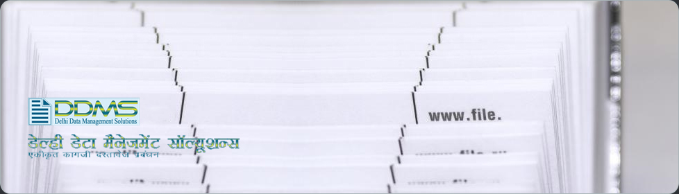 Delhi Data Management Solutions