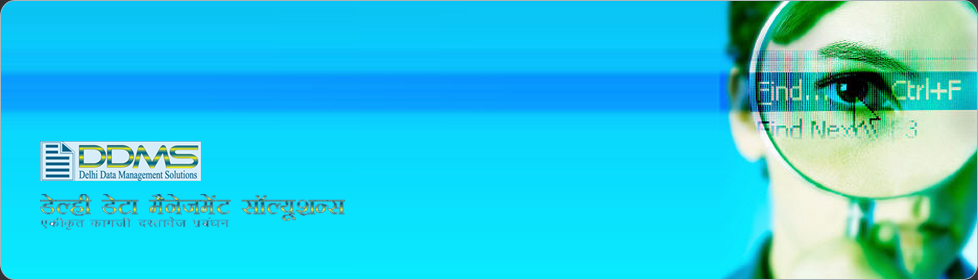 Delhi Data Management Solutions