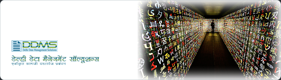 Delhi Data Management Solutions