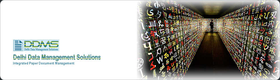 Delhi Data Management Solutions